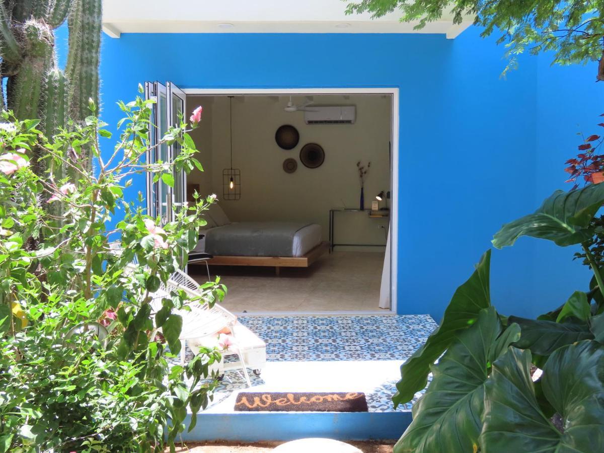 פאראדרה Naima Luxury Home, Cottage & Apartment Rentals מראה חיצוני תמונה
